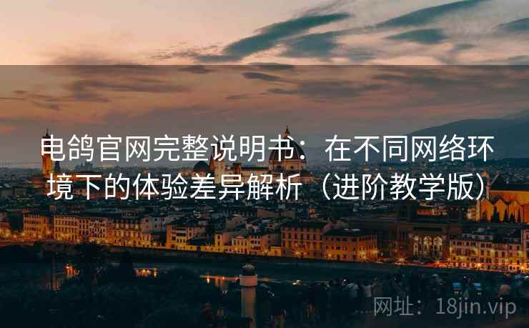 电鸽官网完整说明书：在不同网络环境下的体验差异解析（进阶教学版）