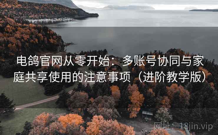 电鸽官网从零开始：多账号协同与家庭共享使用的注意事项（进阶教学版）