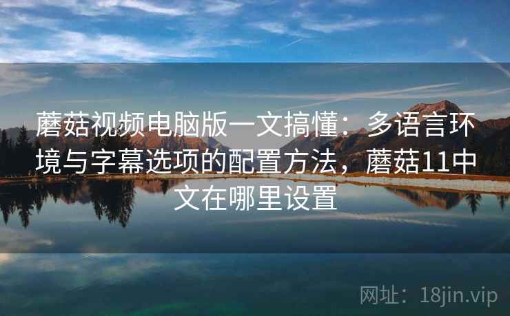 蘑菇视频电脑版一文搞懂：多语言环境与字幕选项的配置方法，蘑菇11中文在哪里设置