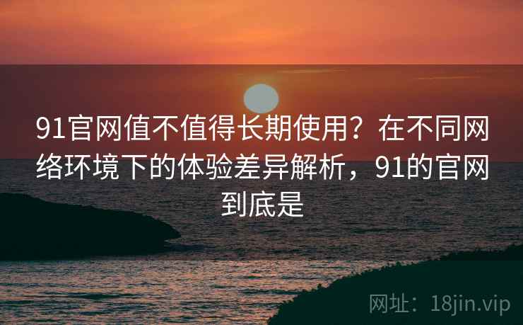 91官网值不值得长期使用？在不同网络环境下的体验差异解析，91的官网到底是