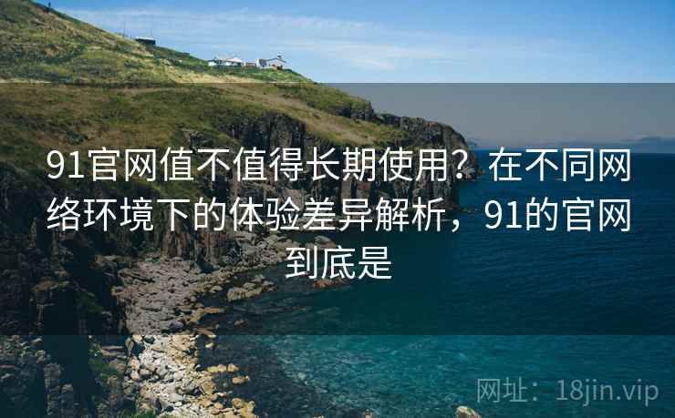 91官网值不值得长期使用？在不同网络环境下的体验差异解析，91的官网到底是