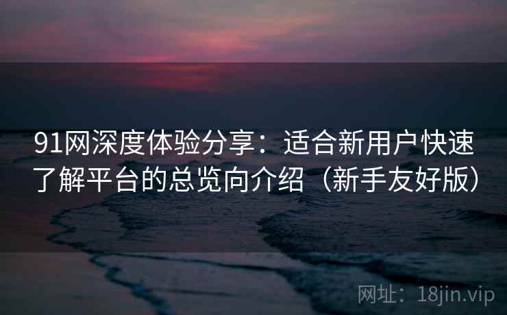 91网深度体验分享：适合新用户快速了解平台的总览向介绍（新手友好版）