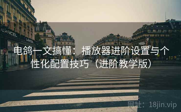 电鸽一文搞懂:播放器进阶设置与个性化配置技巧(进阶教学版) 电鸽一文搞懂:播放器进阶设置与个性化配置技巧(进阶教学版)
