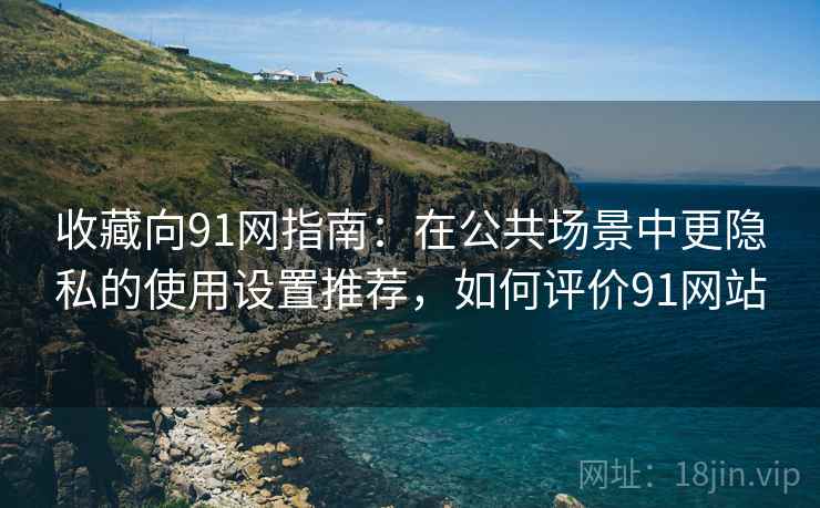 收藏向91网指南：在公共场景中更隐私的使用设置推荐，如何评价91网站