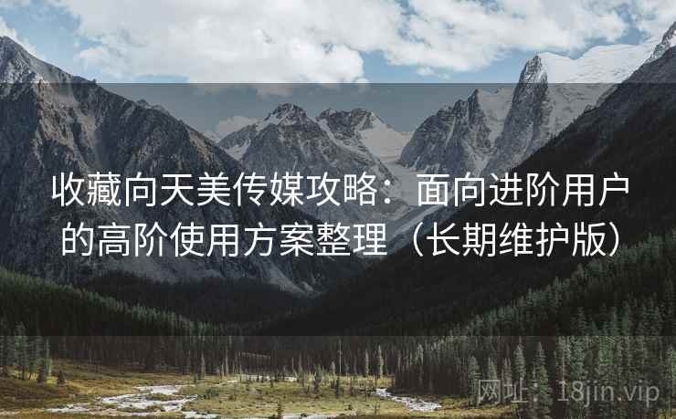 收藏向天美传媒攻略：面向进阶用户的高阶使用方案整理（长期维护版）