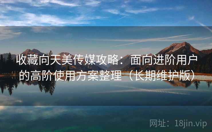 收藏向天美传媒攻略:面向进阶用户的高阶使用方案整理(长期维护版) 收藏向天美传媒攻略:面向进阶用户的高阶使用方案整理(长期维护版)