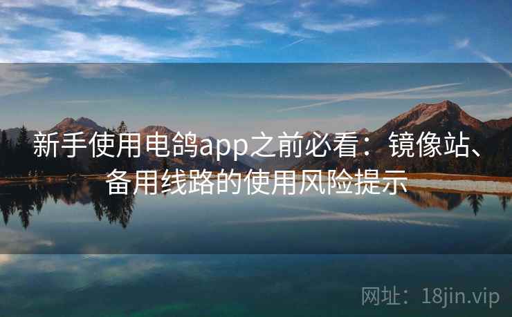 新手使用电鸽app之前必看：镜像站、备用线路的使用风险提示