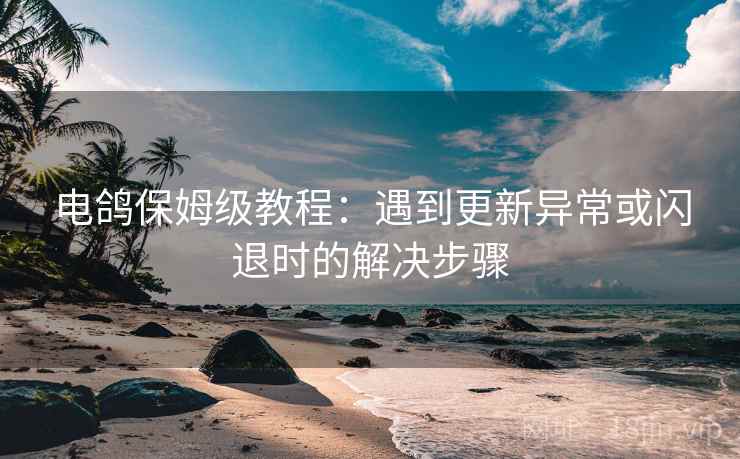 电鸽保姆级教程:遇到更新异常或闪退时的解决步骤