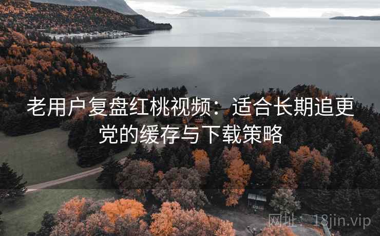 老用户复盘红桃视频:适合长期追更党的缓存与下载策略 老用户复盘红桃视频:适合长期追更党的缓存与下载策略